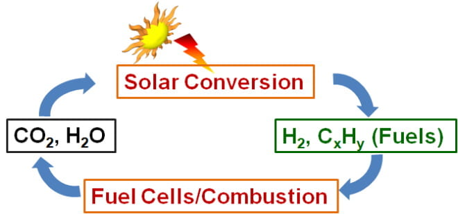 Scheme 2. Photo-electrocatalytic reactions for carbon-neutral solar-to-fuel conversion.
